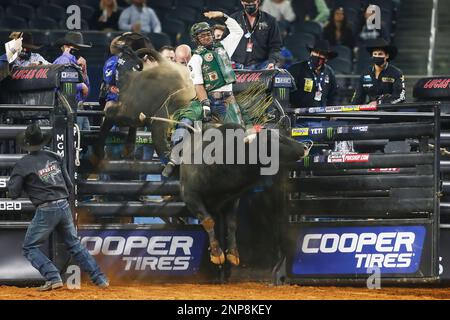 Chiseled - Professional Bull Riders