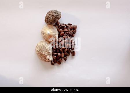 Two seashells and a black stone surround one side of the pile of coffee beans, this stands out against a white background. Stock Photo