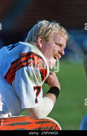 Boomer Esiason,Eddie Brown Cincinnati Bengals circa 1987 (Photo by Owen C.  Shaw/Icon Sportswire) (Icon Sportswire via AP Images Stock Photo - Alamy