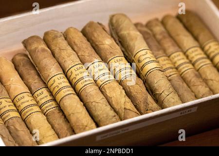 golden spit tobacco online order Golden Harvest 6oz Pipe Tobacco golden spit tobacco online order Golden Harvest 6oz Pipe Tobacco