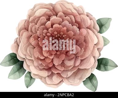 Dusty pink and cream rose, peony, vector garland wedding bouquet. Floral pastel watercolor style.Spring bouquet.Elements are isolated and editable Stock Vector
