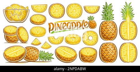 Vector Pineapple Set, lot collection of cut out illustrations fruit still life composition, ripe chopped pineapple fruit with green leaves in glass di Stock Vector