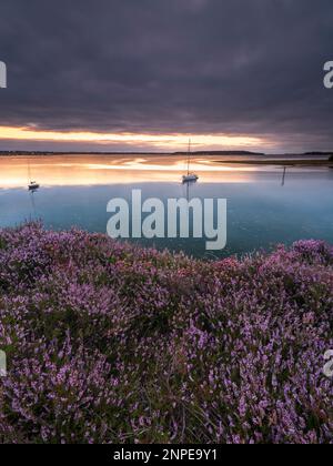 View over Poole Harbour from Arne. Stock Photo