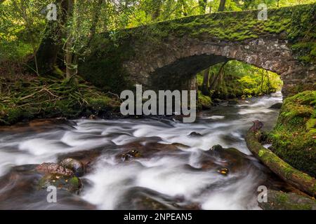 Water cascading over stones at the historic Buckland Bridge in Dartmoor. Stock Photo