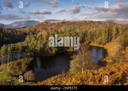 An autumn afternoon at Tarn Hows in the Lake District. Stock Photo