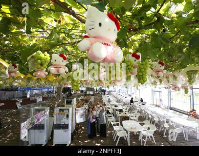 Hello Kitty Sakura plush online 2020