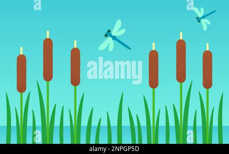 Wetland background with cattails and dragonflies. Swamp or pond cartoon landscape. Simple flat vector design. Stock Vector