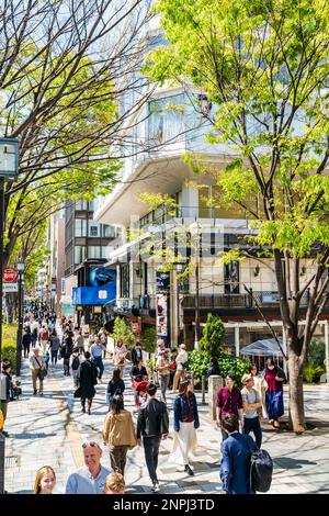 View along crowded pavement in the springtime sunshine outside the Maison de Caviar Beluga caviar restaurant in Omotesando with rows of trees opposite Stock Photo