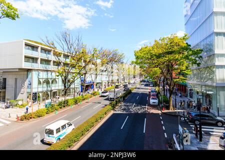 Omotesando Hills shopping complex in Central Tokyo on left, Omotesando Avenue, and Dior building on the right. Springtime, green trees, blue sky. Stock Photo