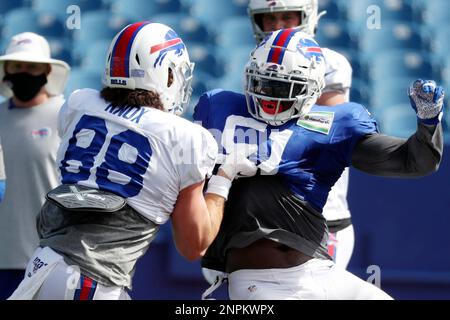 Buffalo Bills tight end Dawson Knox (88) grabs Bills defensive end Bryan Cox  Jr. by the jersey during an NFL football training camp in Orchard Park,  N.Y., Thursday, Aug. 20, 2020. (James
