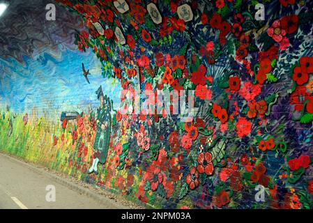 Colinton tunnel Scotland's biggest mural Stock Photo