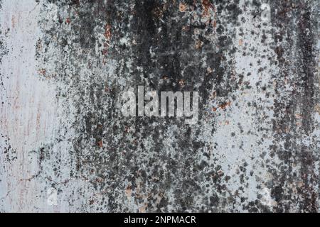 Closeup of textured grey concrete wall Stock Photo