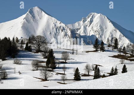 Scenic view of Belianske Tatry mountain range covered in snow, with Havran and Ždiarska Vidla peaks Stock Photo