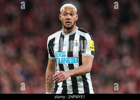 Newcastle United suffer fresh injury blow as key player ruled out of six  games - including PSG & West Ham