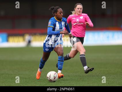 Crawley, UK. 26th Feb, 2023. Brighton's Danielle Carter during the Women's FA Cup fifth round match between Brighton & Hove Albion and Coventry United at the Broadfield Stadium. Credit: James Boardman/Alamy Live News Stock Photo