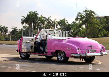Taxi driver waiting tourists in vintage pink car Chevrolet on a city street on palm trees background Stock Photo
