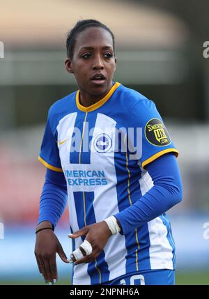 Crawley, UK. 26th Feb, 2023. Brighton's Danielle Carter during the Women's FA Cup fifth round match between Brighton & Hove Albion and Coventry United at the Broadfield Stadium. Credit: James Boardman/Alamy Live News Stock Photo