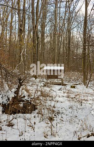 wooden feeder for wild animals in winter Stock Photo