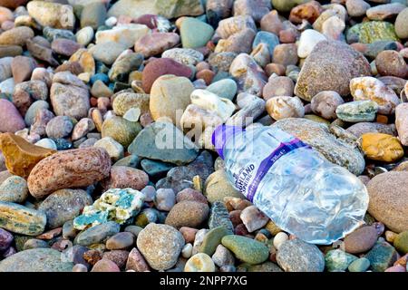 Close up of a discarded single use plastic bottle washed up on a pebble beach. Stock Photo