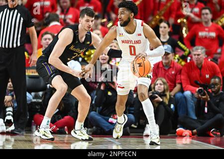 College Park, MD, USA. 26th Feb, 2023. Maryland Terrapins guard Don Carey (0) dribbles the ball during the NCAA basketball game between the Northwestern Wildcats and the Maryland Terrapins at Xfinity Center in College Park, MD. Reggie Hildred/CSM/Alamy Live News Stock Photo