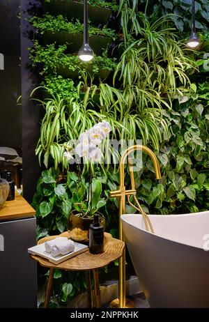 Luxury bathroom interior in spa with vertical garden, bath in modern beauty salon. Green plants wall, flowers and bathtub in hotel. Concept of nature, Stock Photo
