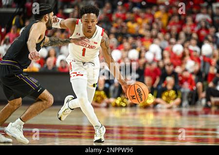 College Park, MD, USA. 26th Feb, 2023. Maryland Terrapins guard Jahmir Young (1) dribbles the ball during the NCAA basketball game between the Northwestern Wildcats and the Maryland Terrapins at Xfinity Center in College Park, MD. Reggie Hildred/CSM/Alamy Live News Stock Photo