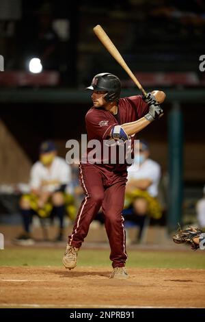 Macon Bacon Noah Mendlinger (23) bats during a Coastal Plain League game  against the Savannah Bananas on July 15, 2020 at Grayson Stadium in  Savannah, Georgia. (Mike Janes/Four Seam Images via AP