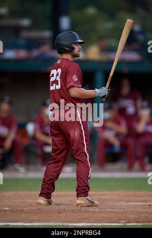 Macon Bacon Noah Mendlinger (23) bats during a Coastal Plain League game  against the Savannah Bananas on July 15, 2020 at Grayson Stadium in  Savannah, Georgia. (Mike Janes/Four Seam Images via AP