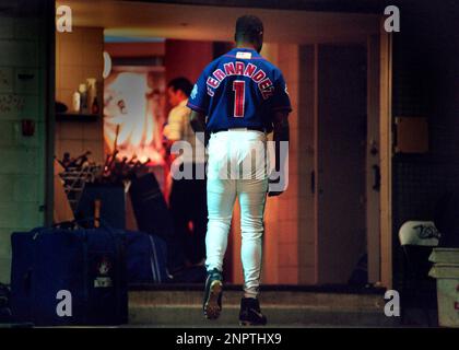 2001 Tony Fernandez Toronto Blue Jays Game Worn Jersey