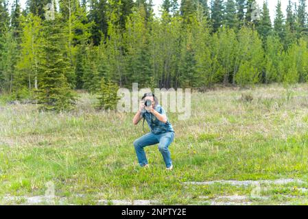 Photographer taking photo with boreal forest background in summer time, greenery. Wearing jeans, blue shirt in Canada. Stock Photo