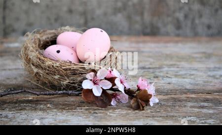 Easter eggs in nest and pink flowering sakura branches on rustic background.  Happy Easter holiday. Copy space Stock Photo