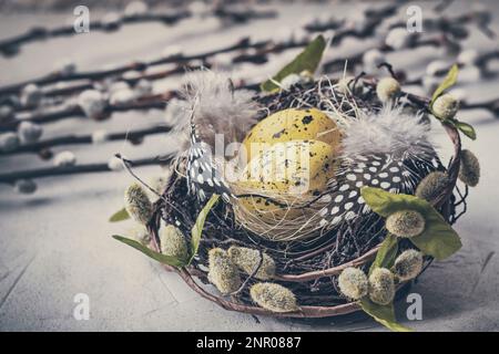 Holiday still life with decorative quail eggs in a brown nest among feathers. Easter decor with selective focus Stock Photo