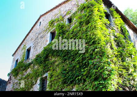 it is possible to see a building of light stone and a simple roof, with windows in a row, with the facade partially covered by a bright green foliage. Stock Photo