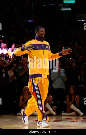 Ron artest rings store