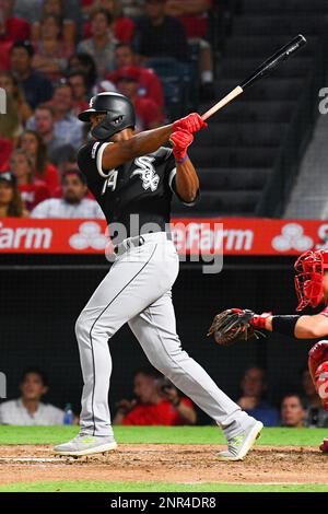 ANAHEIM, CA - AUGUST 15: Chicago White Sox left fielder Eloy Jimenez (74)  looks on in the dugout before a MLB game between the Chicago White Sox and  the Los Angeles Angels