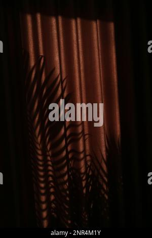 Palm tree shadows on drapes during golden hours Stock Photo