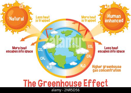 Diagram showing the greenhouse effect illustration Stock Vector