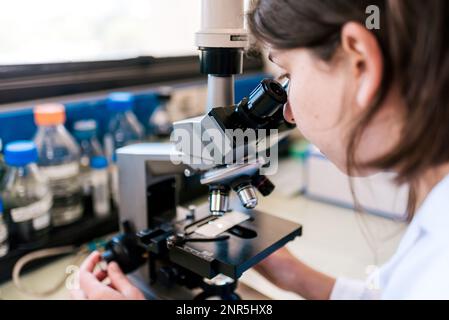 Female Scientist Using Microscopy in Laboratory Stock Photo