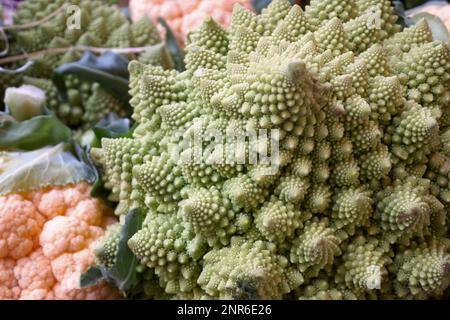 Close-up on a stack of cruciferous vegetables including romanesco broccolis and orange cauliflowers. Stock Photo