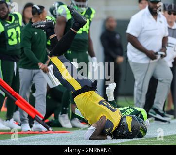 February 26, 2023: San Antonio Brahmas punter BRAD WING (0) punts the ball  during the Orlando Guardians vs San Antonio Brahmas XFL game at Camping  World Stadium in Orlando, Fl on February