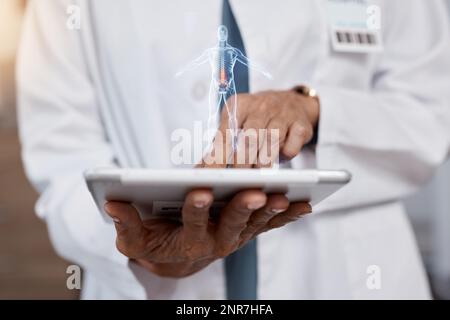 Doctor, hands and tablet with 3D hologram of body in healthcare research, anatomy or virtual AI surgery. Hand of medical expert holding touchscreen Stock Photo