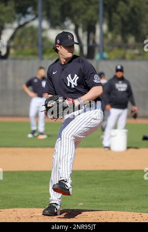 TAMPA, FL - FEBRUARY 15: Gerrit Cole (45) of the Yankees goes thru a drill  during the New York Yankees spring training work out on February 15, 2020,  at the George M.