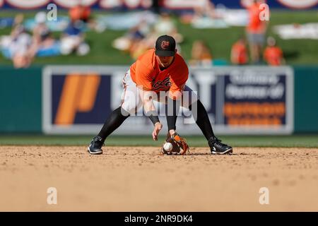 Lakeland FL USA; Baltimore Orioles catcher James McCann (27) puts the ball  into play during an MLB spring training game against the Detroit Tigers at  Stock Photo - Alamy