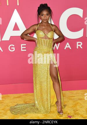 Dominique Thorne arriving to the 54th NAACP Image Awards held at the