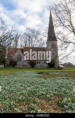 Snowdrops at St Mary's Church in Preston Candover, a Hampshire village, England, UK Stock Photo