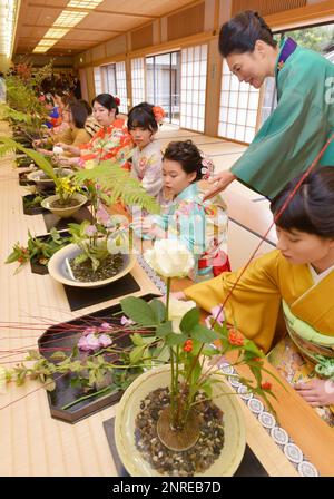 Ældre Mild kalender Students of the Ikenobo Japanese flower arrangement school clad in kimono  (Japanese traditional formal waer) attend