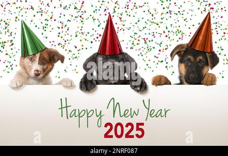 Puppy happy new store year