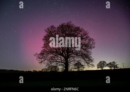 Handout photo dated 26/02/23 taken with permission from the twitter account of Alex Murison of the northern lights over Shropshire. Issue date: Monday February 27, 2023. Stock Photo