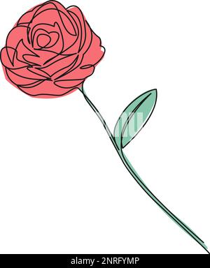 colored continuous single line drawing of a rose, line art vector illustration Stock Vector