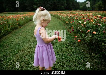 Girl in field of colorful flowers Stock Photo
